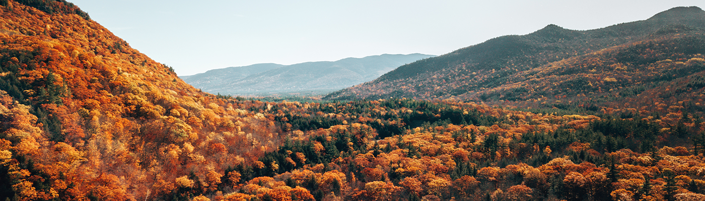 New Hampshire: Live Free and blaze your own trail!